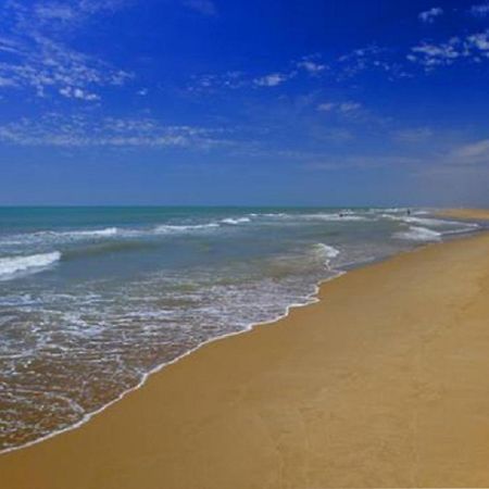 Mas Illa De Riu - Autentica Masia Del Delta Del Ebro Con Capacidad Para 20 Personas - Deltavacaciones Sant Jaume d'Enveja Extérieur photo
