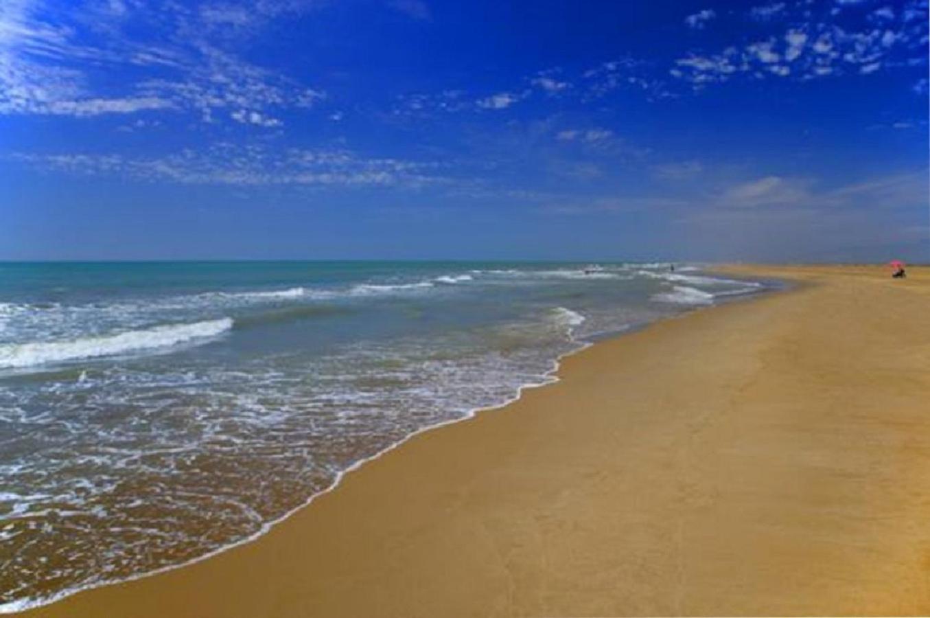 Mas Illa De Riu - Autentica Masia Del Delta Del Ebro Con Capacidad Para 20 Personas - Deltavacaciones Sant Jaume d'Enveja Extérieur photo