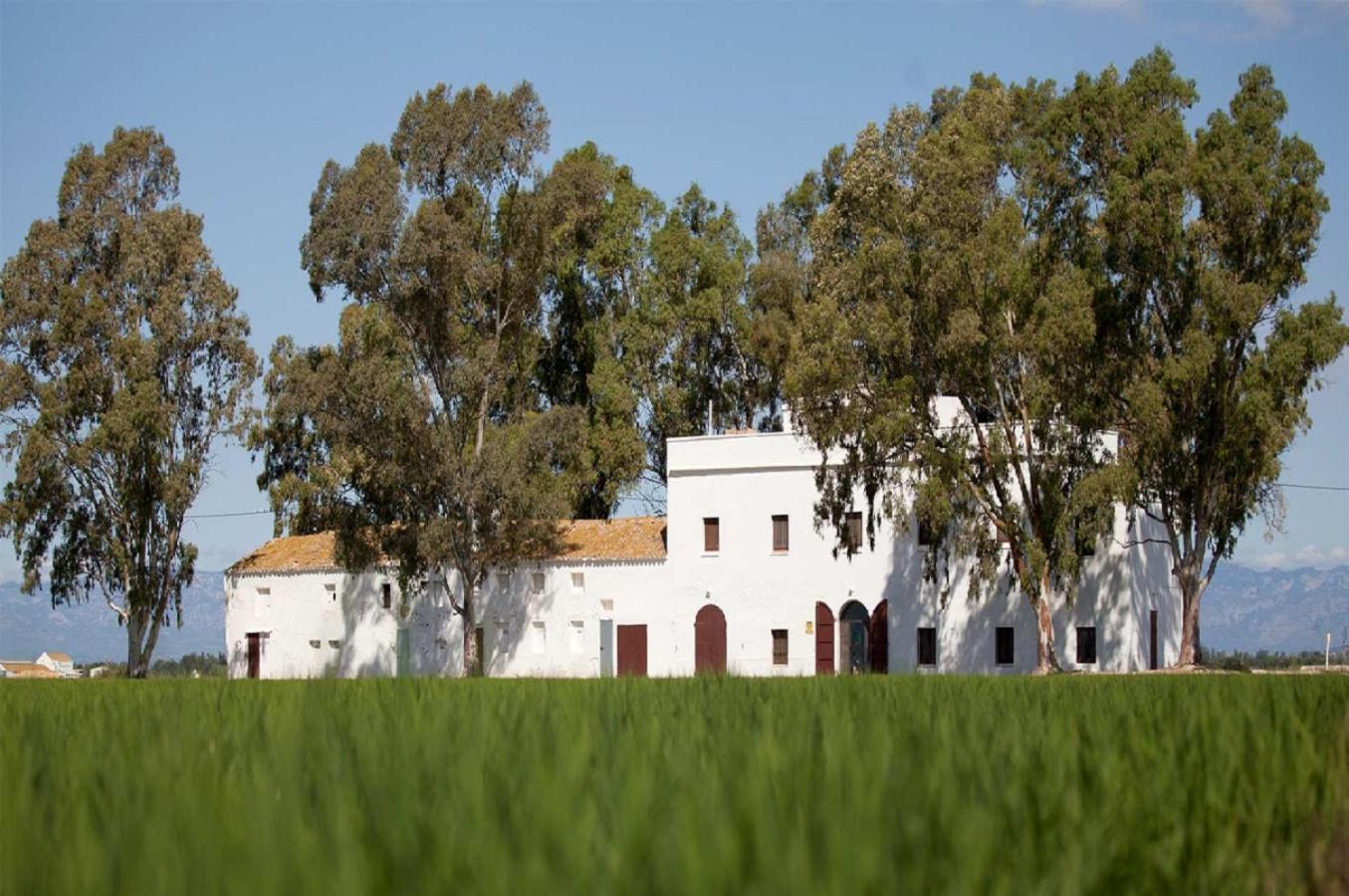 Mas Illa De Riu - Autentica Masia Del Delta Del Ebro Con Capacidad Para 20 Personas - Deltavacaciones Sant Jaume d'Enveja Extérieur photo