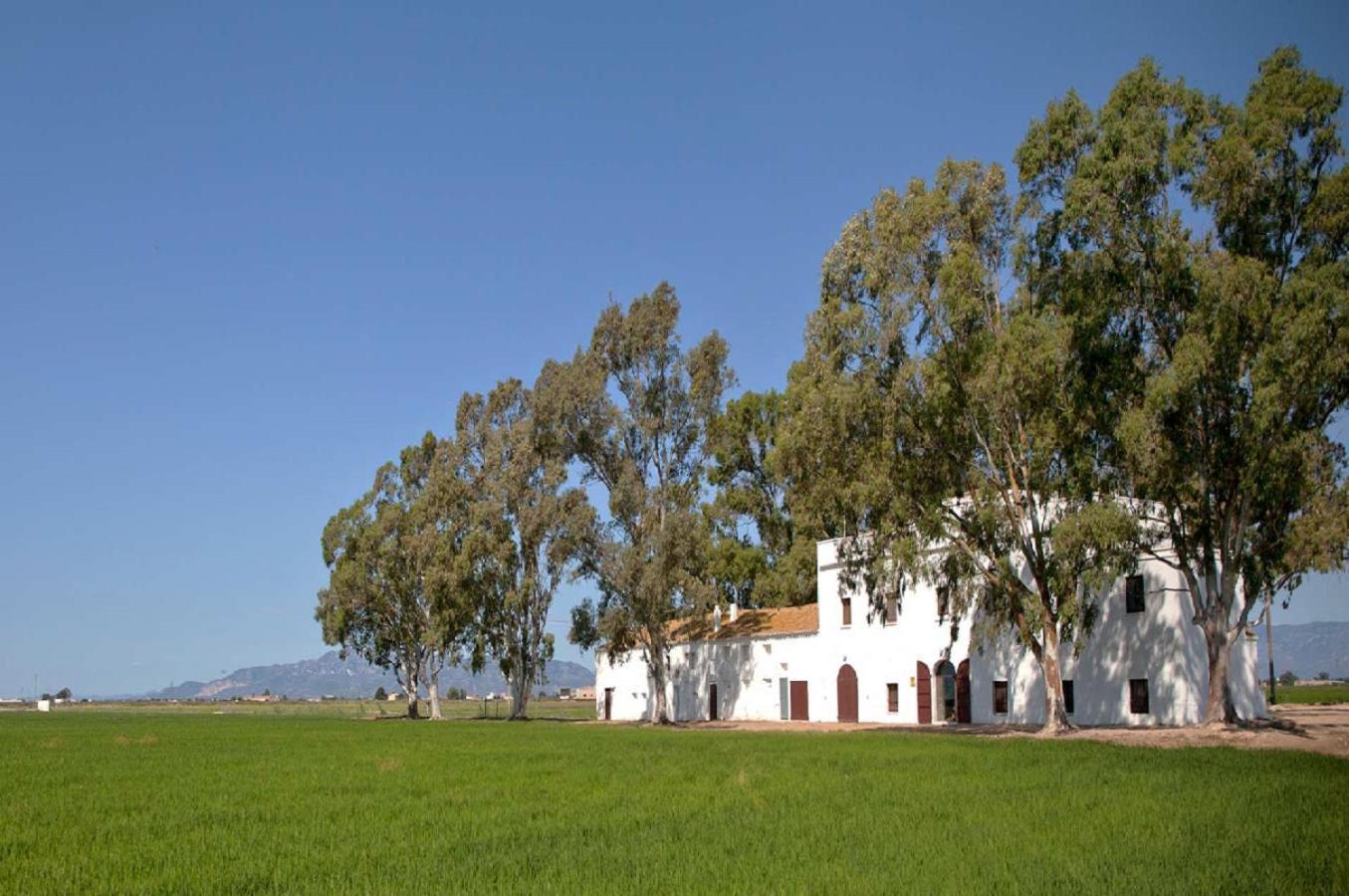 Mas Illa De Riu - Autentica Masia Del Delta Del Ebro Con Capacidad Para 20 Personas - Deltavacaciones Sant Jaume d'Enveja Extérieur photo