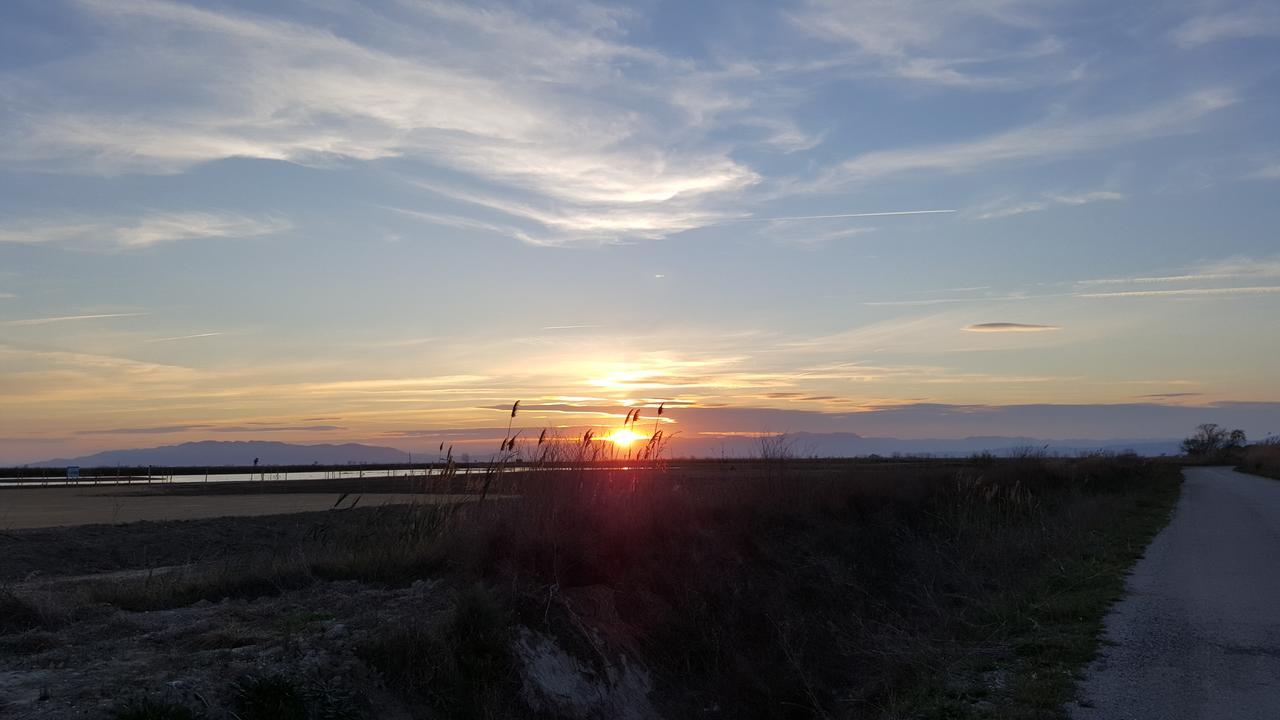Mas Illa De Riu - Autentica Masia Del Delta Del Ebro Con Capacidad Para 20 Personas - Deltavacaciones Sant Jaume d'Enveja Extérieur photo