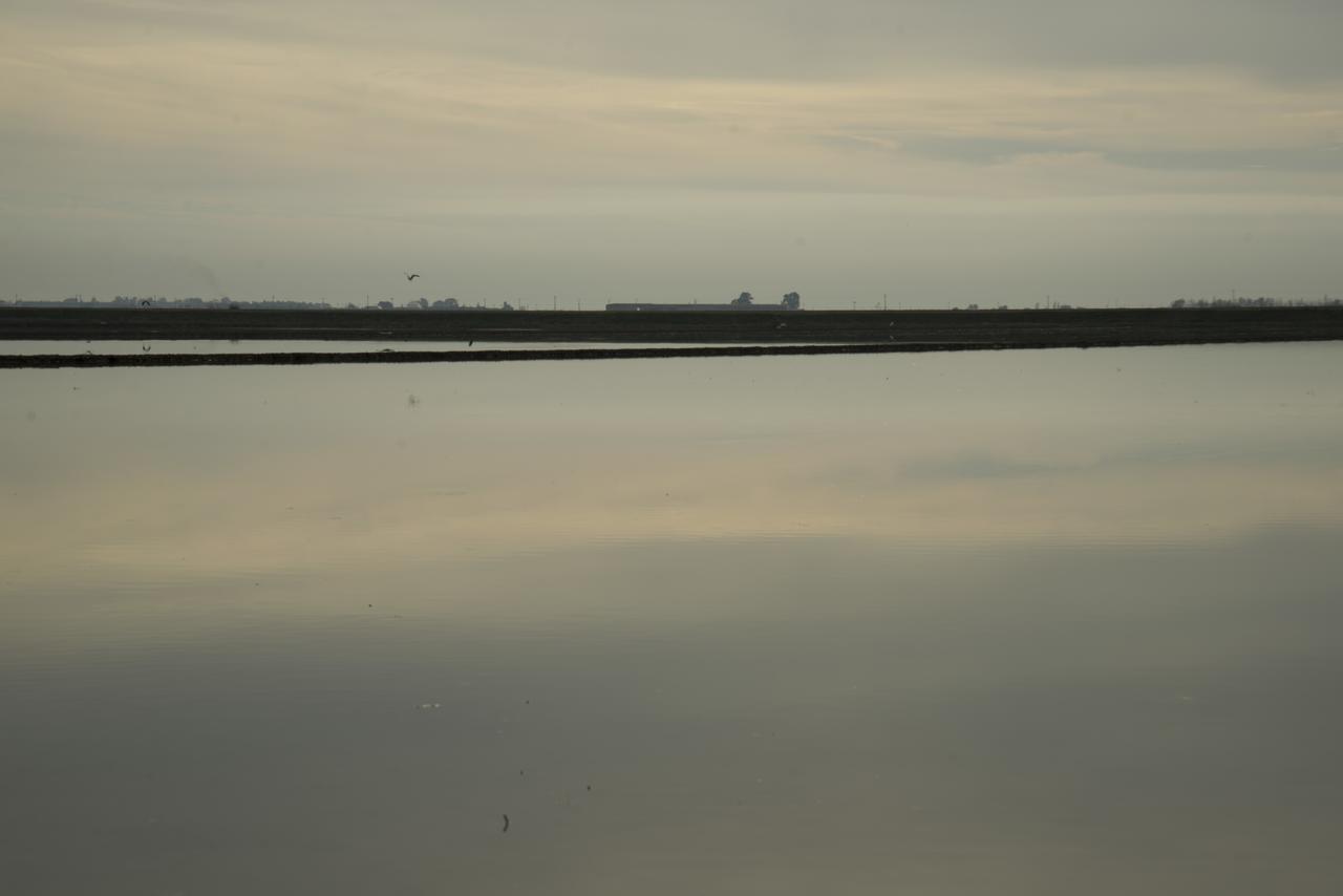 Mas Illa De Riu - Autentica Masia Del Delta Del Ebro Con Capacidad Para 20 Personas - Deltavacaciones Sant Jaume d'Enveja Extérieur photo