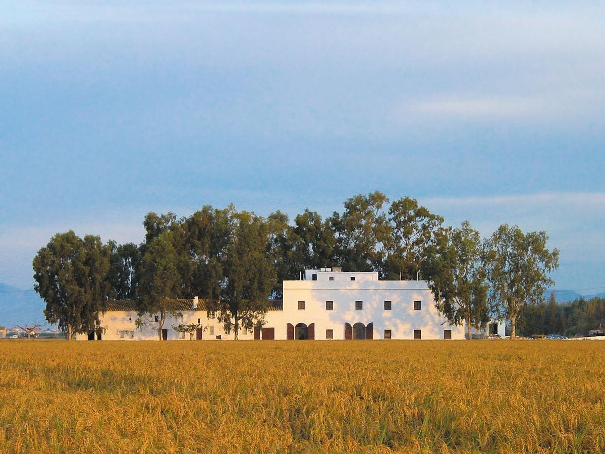 Mas Illa De Riu - Autentica Masia Del Delta Del Ebro Con Capacidad Para 20 Personas - Deltavacaciones Sant Jaume d'Enveja Extérieur photo