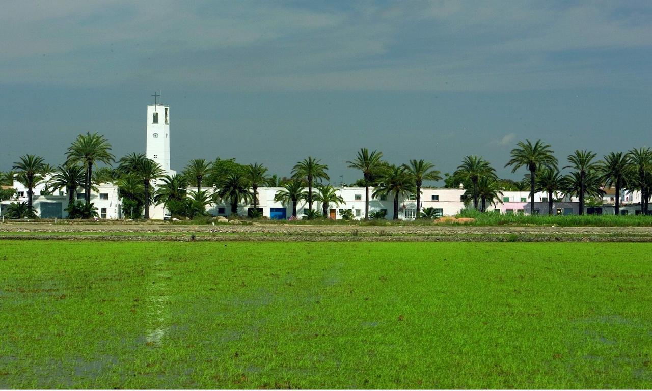 Mas Illa De Riu - Autentica Masia Del Delta Del Ebro Con Capacidad Para 20 Personas - Deltavacaciones Sant Jaume d'Enveja Extérieur photo