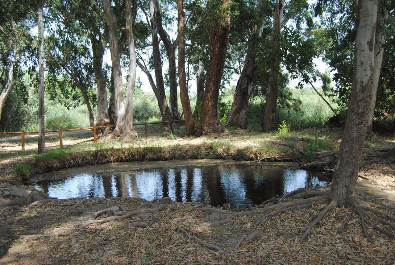 Mas Illa De Riu - Autentica Masia Del Delta Del Ebro Con Capacidad Para 20 Personas - Deltavacaciones Sant Jaume d'Enveja Extérieur photo
